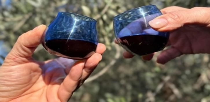 Corso per degustatore e degustatrice di Olio Extravergine di Oliva: iscrizioni aperte